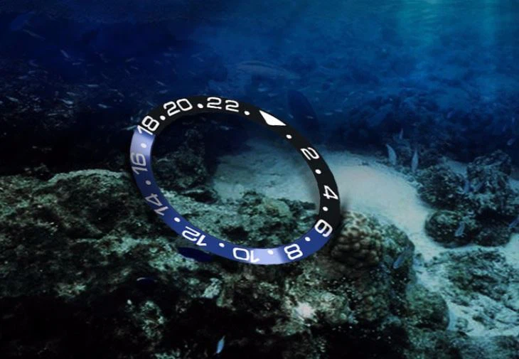 Ceramic Watch Bezel